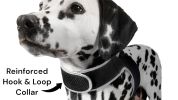 Realtime GSM GPS Tracker Dog Cat Waterproof Locator with Notifications Size:XS